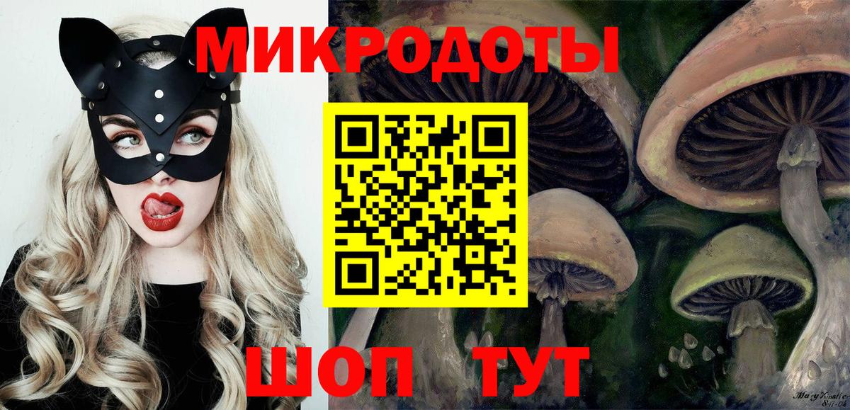 Псилоцибиновые грибы Cubensis Канаш